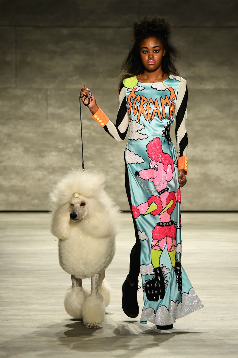 Illustration for article titled Nothing At Fashion Week Will Top Discount Universe